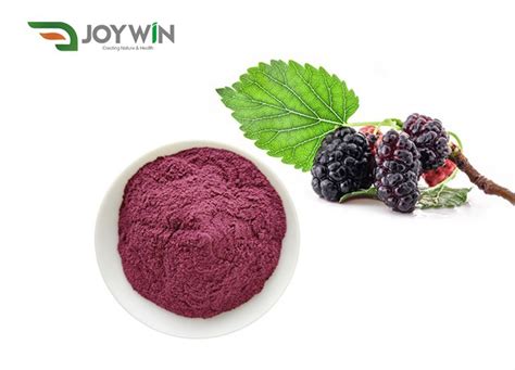 High Quality Mulberry Powder Manufacturers .